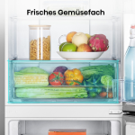 HISENSE Kombinacija hladnjak/zamrzivač RB327N4ADD RB327, 182,4 cm visine, 55 cm širine, No Frost - Slika 8