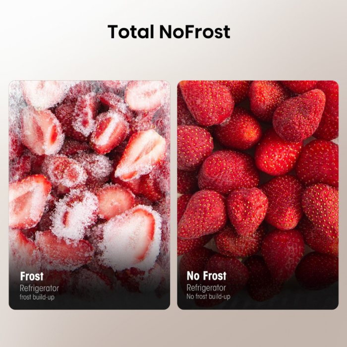 HISENSE Kombinacija hladnjak/zamrzivač RB327N4ADD RB327, 182,4 cm visine, 55 cm širine, No Frost - Slika 6