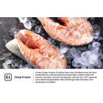 HISENSE RB3K330SAIC hladnjak/zamrzivač Potpuno bez zamrzavanja - Slika 11